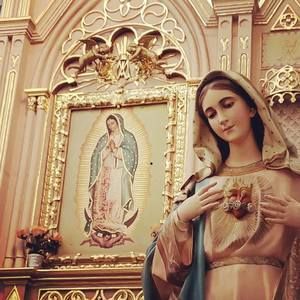 Meet your Posher, Lety